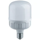 Лампа Gauss 63438 T140 80W 6400lm 6500K E40 LED