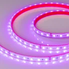 Светодиодная лента герметичная Arlight 024587(2)