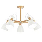 Люстра на штанге EVOLUCE SLE103802-05 BALCAMO