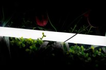 Гибкий неон SWG SWG-2360-24-WW-66 360