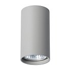 Светильник Потолочный Arte Lamp A1516PL-1GY