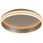 Накладной светильник Feron 41695 AL5880