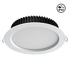 Встраиваемый светильник (без драйвера) NOVOTECH 358306 DRUM