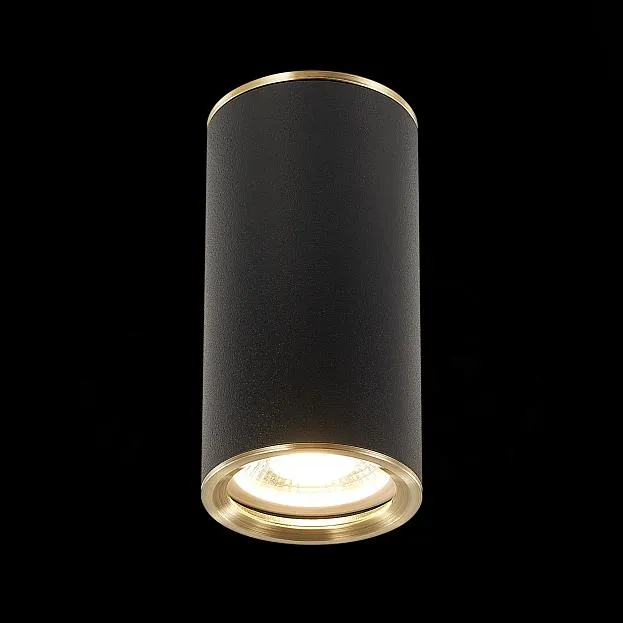 Потолочный светильник ST Luce ST111.437.01 Потолочный светильник ST Luce ST111.437.01