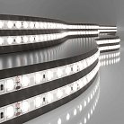 Светодиодная лента Elektrostandard 2835 24V 120Led 9,6W IP65 a052963