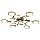 потолочный светильник F-Promo 4686-13C Hybrid