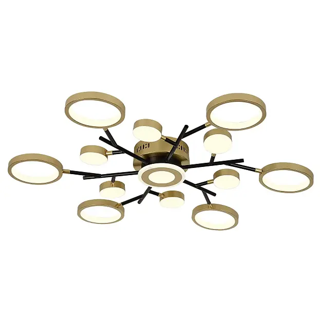 потолочный светильник F-Promo 4686-13C Hybrid