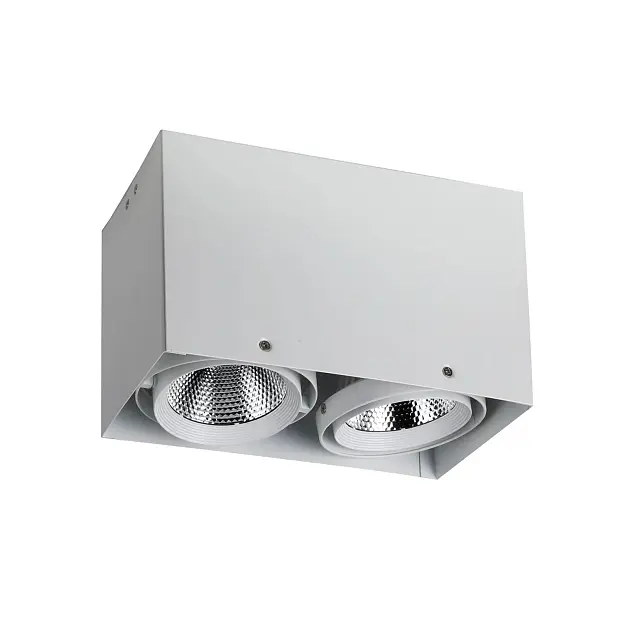 Потолочный светильник favourite 1986-2u flashled