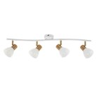 Спот Arte Lamp A3117PL-4WH Falena