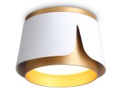 Накладной светильник Ambrella light TN71221