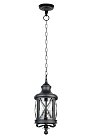 Уличный светильник подвесной Oasis Light 84805 Bl LUCERNA