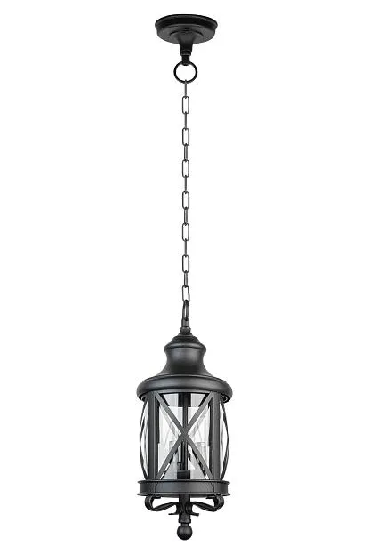 Уличный светильник подвесной Oasis Light 84805 Bl LUCERNA