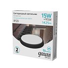 Светильник ЖКХ Gauss 193411315B BASIC