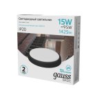 Светильник ЖКХ Gauss 193411315B BASIC