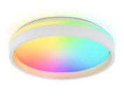 Потолочный светильник RGB с пультом управления Ambrella light FZ601