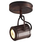 Спот Lussole LSP-9131 Loft CLIFTON