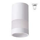 Накладной светильник NOVOTECH 370679 ELINA