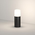 Ландшафтный уличный Светильник Denkirs DK9743-BK Nord