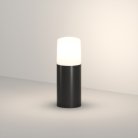 Ландшафтный уличный Светильник Denkirs DK9743-BK Nord