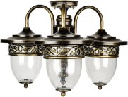 Потолочный светильник уличный Oasis Light 87270LA/18/3 Gb KRAKOV 1 L