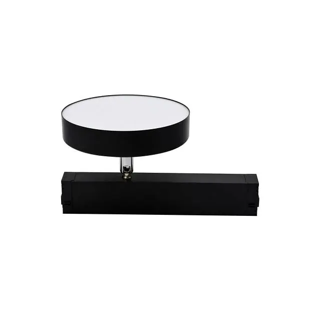 Трековый светильник Aployt APL.0213.00.24 Magnetic track 220
