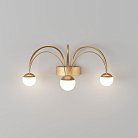 настенный светильник Eurosvet 90031/3 Ragno a070287