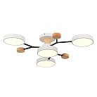 Светильник потолочный Белый/Белый LED 4*12W 3000K/4500K/6000K Evoluce SLE6006-502-04 FAEMA