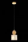 Подвесной светильник Fluorite FL1023-1P Fovere