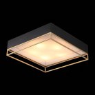 Потолочный светильник ST Luce SL1127.422.05 Chodo