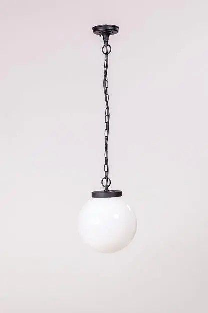 Уличный светильник подвесной Oasis Light 88205S Bl