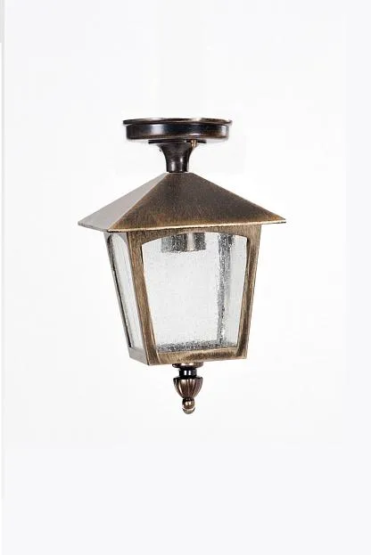 Потолочный светильник уличный Oasis Light 15905A Gb PRAGA