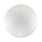 Настенно-потолочный светильник Sonex 2052/CL ABASI