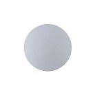 Настенно-потолочный светильнк Arte Lamp A1506AP-1WH