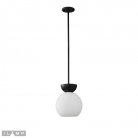 Светильник потолочный iLamp P6079-1 BK+WH Mono