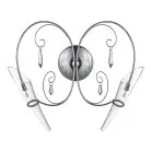 Бра Lightstar 755624 Scarabeo