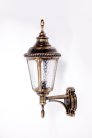 Настенный светильник уличный Oasis Light 79751S Gb