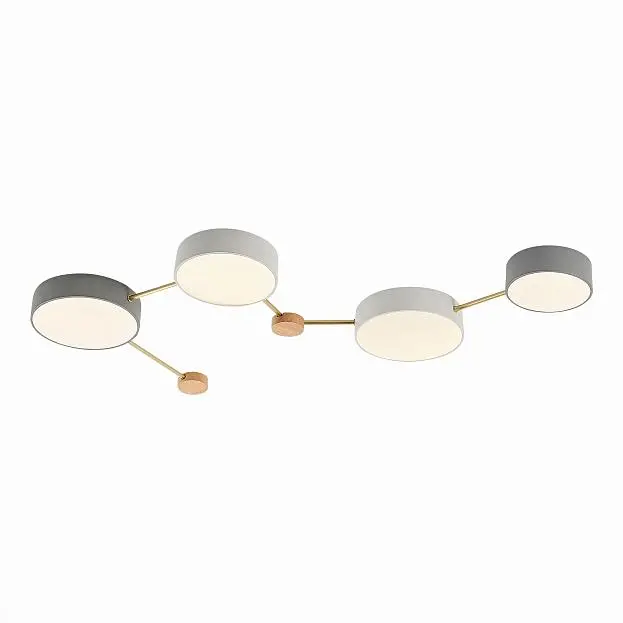 Светильник потолочный EVOLUCE SLE600102-04 DOSSENA Светильник потолочный EVOLUCE SLE600102-04 DOSSENA