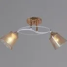 Потолочная люстра Reluce 06003-0.3-02 FG+WT