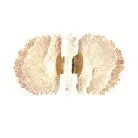 Бра Cloyd 20363 Antigua