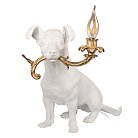 Настольная лампа Loft IT 10312 White Dog