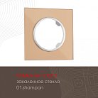 Рамка на 1 пост Arte Milano 502.01-1.shampan am