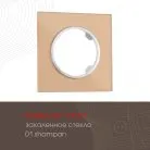 Рамка на 1 пост Arte Milano 502.01-1.shampan am