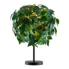 Настольная лампа Lussole LSP-0682 IDAHO