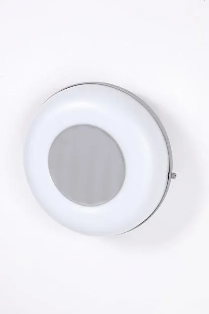 Потолочный светильник уличный Oasis Light 3331 S SIDNEY Потолочный светильник уличный Oasis Light 3331 S SIDNEY