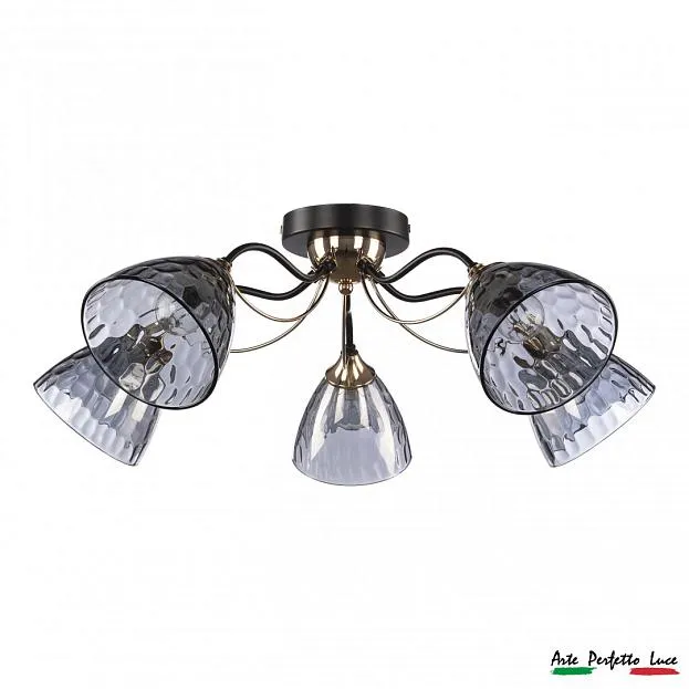 Люстра  Arte Perfetto Luce APL2234366/5 CF+FG