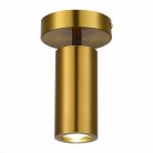 Потолочный светильник ST Luce SL1215.402.01 TALIA