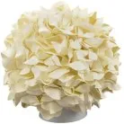 Интерьерная настольная лампа Uniel ULW-R07 T/3000K/150C/A Гортензия Белый/Сливочный десерт Гортензия