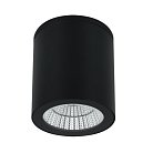 Фасадный светильник Arte Lamp A1813PF-1BK TORCULAR