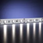 Светодиодная лента Led Strip Maytoni 201018