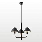 Люстра подвесная Lussole LSP-8971 Congress